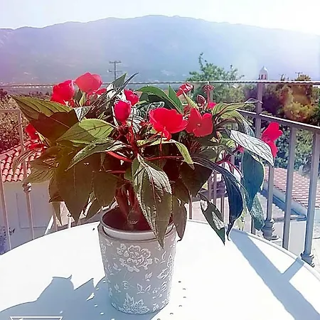Margarita's Attic-the Loft Hotel *